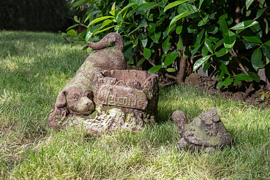 HF6-4965 DEKORATIF KÖPEK 32x30x27cm - 4