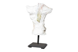 KAIDELI CICEKLI TORS 32x51cm HYK194 - 4