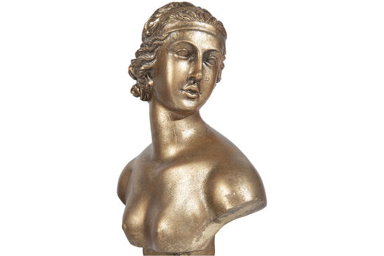 KAIDELI YARI CIPLAK KADIN BUST GOLD-KAHVE 17x44cm HYK284 - 2