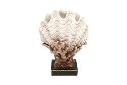 MIDYE KABUKLU MERCAN KREM-GOLD 24x31cm HYK591 - 2