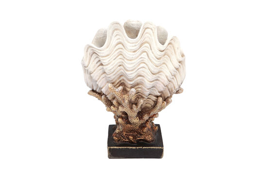 MIDYE KABUKLU MERCAN KREM-GOLD 24x31cm HYK591 - 2