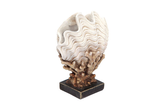 MIDYE KABUKLU MERCAN KREM-GOLD 24x31cm HYK591 - 3