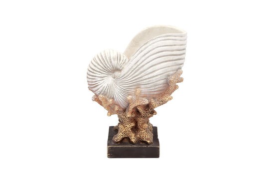DENIZ KABUKLU MERCAN KREM-GOLD 22x28cm HYK590 - 3