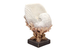 DENIZ KABUKLU MERCAN KREM-GOLD 22x28cm HYK590 - 2
