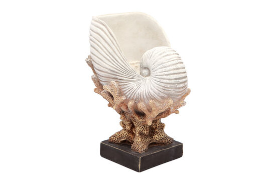 DENIZ KABUKLU MERCAN KREM-GOLD 22x28cm HYK590 - 2