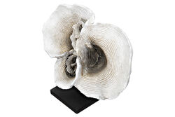 KAIDELI MERCAN-2 KREM-GOLD 31x24cm HYK595 - 2