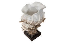 DENIZ KABUGU MERCAN 29x25cm HYK842 - 2