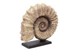 KAIDELI DENIZ KABUGU GOLD 30x32 cm HYK313 - 4
