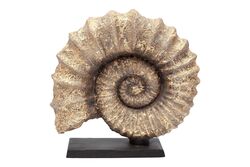 KAIDELI DENIZ KABUGU GOLD 30x32 cm HYK313 - 5