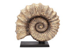 KAIDELI DENIZ KABUGU GOLD 30x32 cm HYK313 - 3