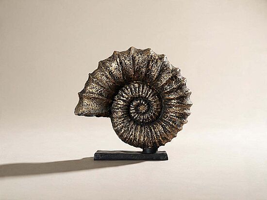 KAIDELI DENIZ KABUGU GOLD 30x32 cm HYK313 - 1