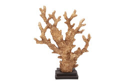 KAIDELI MERCAN GOLD 28x34 cm HYK226 - 2