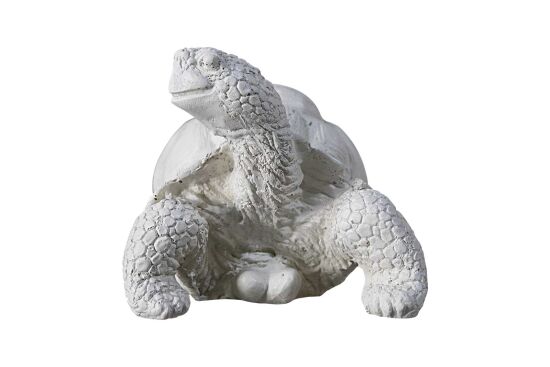 KAPLUMBAĞA ŞEMSİYE AYAĞI HYK811 25x33x20 cm KREM - 2