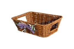 LAVENDER DİKD. SEPET (XS) 18X27 CM (SPT-275) - 3