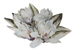 MAGNOLİA SUPLA 35X54 CM - 2