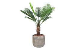 MİNİ PALMİYE YAPAY AĞAÇ 90cm (759TUF000008) - 3