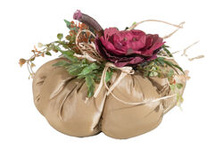 RAVINS KOKULU BAL KABAGI KREM 20X25 cm - 3