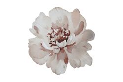 ROSENNA SUPLA 34X34 CM - 2
