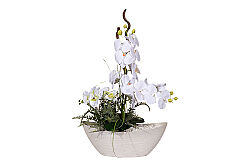 SANSELO ARANJMAN 55X75 CM KREM - 4