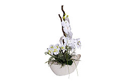 SANSELO ARANJMAN 55X75 CM KREM - 5
