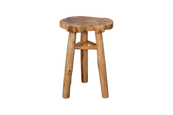 SEHPA BÜYÜK 40x60cm NEW 23 - 001 - 3