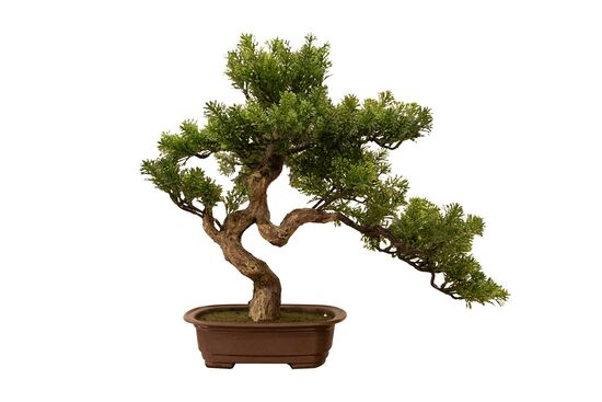 SELVİ YAPAY AĞAÇ 46 CM ( TH106018 ) - 2