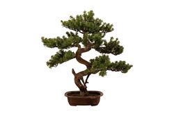 SELVİ YAPAY AĞAÇ 68 CM ( TH106019 ) - 2