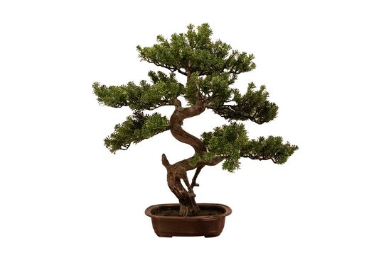 SELVİ YAPAY AĞAÇ 68 CM ( TH106019 ) - 2
