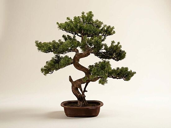 SELVİ YAPAY AĞAÇ 68 CM ( TH106019 ) - 1