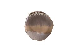 SERENITY Dekoratif Tabak 25 cm W , 3 cm H ( 24841 ) - 3