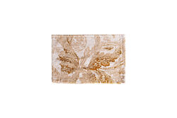 STACY PASPAS EKRU-BEJ-GOLD 40x60cm - 2
