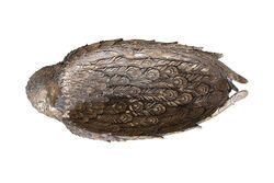 TAVUSKUSLU GONDOL GOLD 14x30 cm (HYK1181) - 3