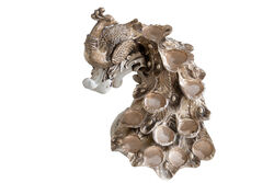 TAVUSKUSLU T-LIGHT MUMLUK KREM-GOLD (HYK912) - 4