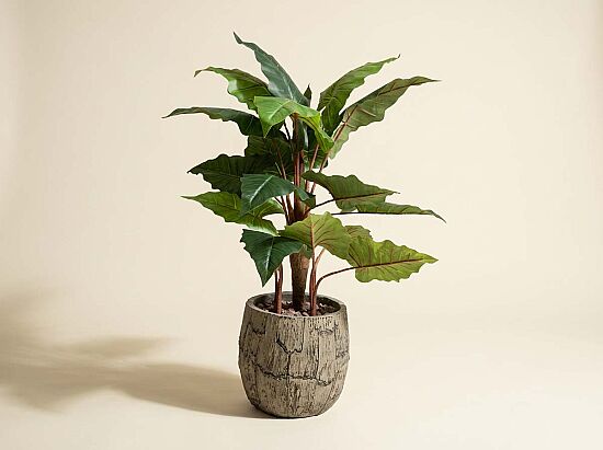 TH008068 3 BAŞLIKLI KALATYA YAPAY AGAC 90CM(759TUF000013) - 1