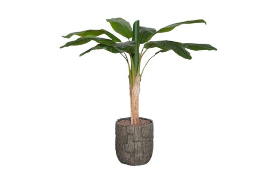 TH008094 1 KÖKLÜ MUZ YAPAY AGAC 135CM(759TUF000102) - 2