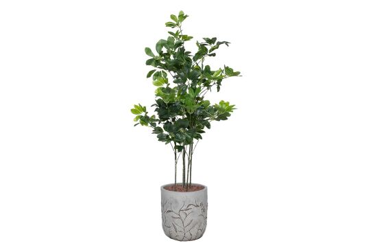 TH008409 5 BAŞLIKLI ŞEFLERA YAPAY AGAC 145 CM (759TUF000108) - 2