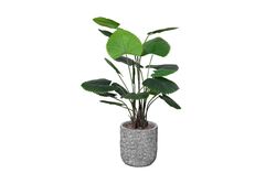TH008440 KIVRIMLI YELPAZE PALMİYESİ YAPAY AĞAÇ 130CM(759TUF000062) - 3