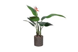 TH008572-A 1 ÇİÇEKLİ STARLİÇE YAPAY AĞAÇ 135CM(759TUF000098) - 3
