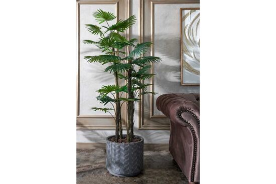 TH008773-A 4 KÖK FAN PALMİYE /32 DALLI YAPAY AGAC 160CM(759TUF000113) - 3