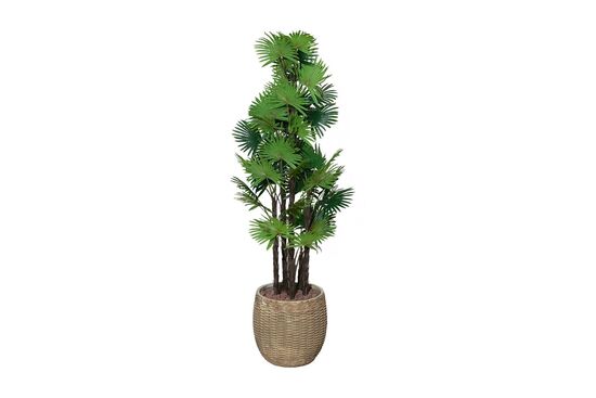 TH008775-A 6 KÖK FAN PALMİYE / 48 DALLI YAPAY AGAC 165CM(759TUF000082) - 2