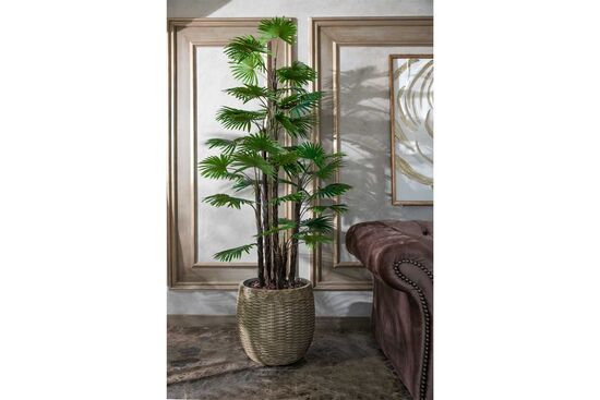 TH008775-A 6 KÖK FAN PALMİYE / 48 DALLI YAPAY AGAC 165CM(759TUF000082) - 3