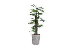 TH008777 FAN PALMİYE YAPAY AĞAÇ 170CM(759TUF000057) - 2