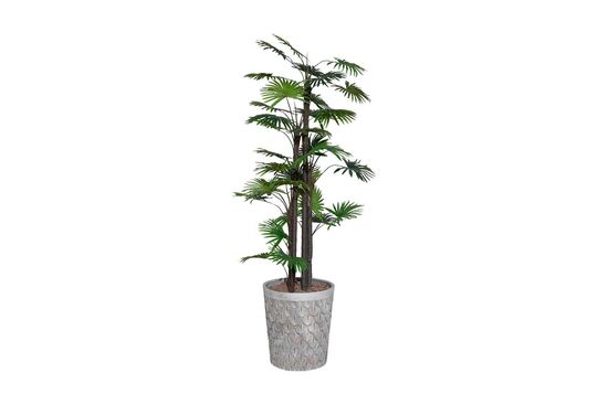 TH008777 FAN PALMİYE YAPAY AĞAÇ 170CM(759TUF000057) - 2