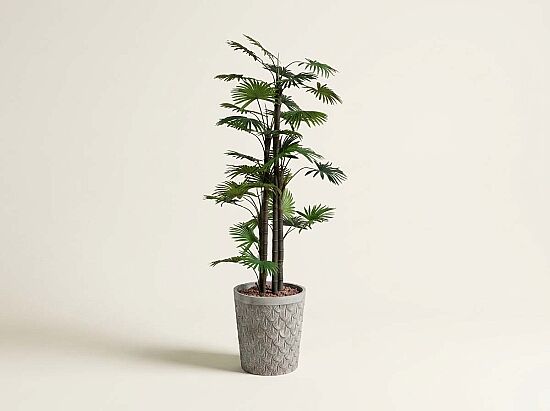 TH008777 FAN PALMİYE YAPAY AĞAÇ 170CM(759TUF000057) - 1