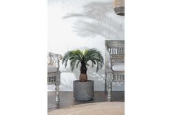 TH049038-A YAPAY CYCAS PALMIYE AGACI 90cm(759TUF000112) - 3