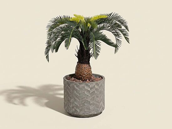 TH049038-A YAPAY CYCAS PALMIYE AGACI 90cm(759TUF000112) - 1