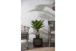 TH049106-A YAPAY AGAVE AGACI 90cm(759TUF000017) - 2