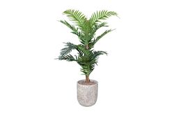 TH070038-A PALMIYE YAPAY AGAC 145cm(759TUF000022) - 2
