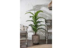 TH070038-A PALMIYE YAPAY AGAC 145cm(759TUF000022) - 3
