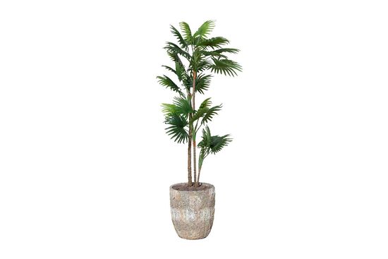 TH070042-A PALMIYE YAPAY AGAC 135cm(759TUF000035) - 2